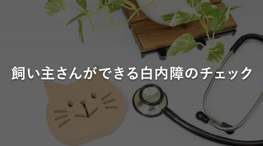 飼い主さんができる白内障のチェック