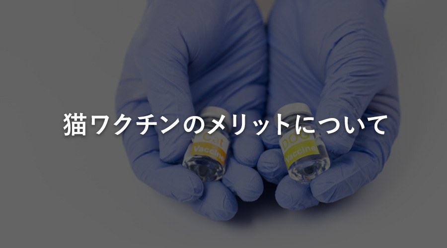 猫ワクチンのメリットについて