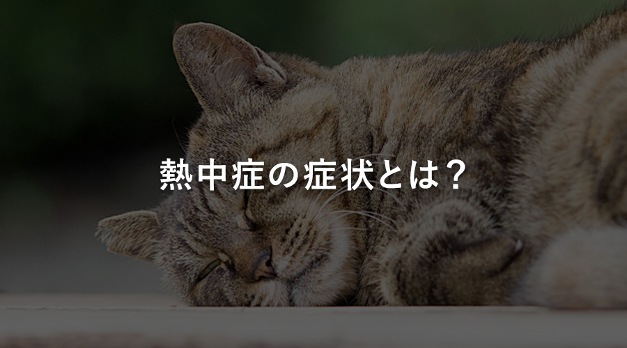 熱中症の症状とは？