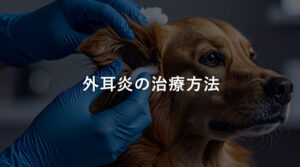 外耳炎の治療方法