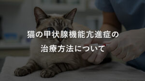 猫の甲状腺機能亢進症の治療方法について