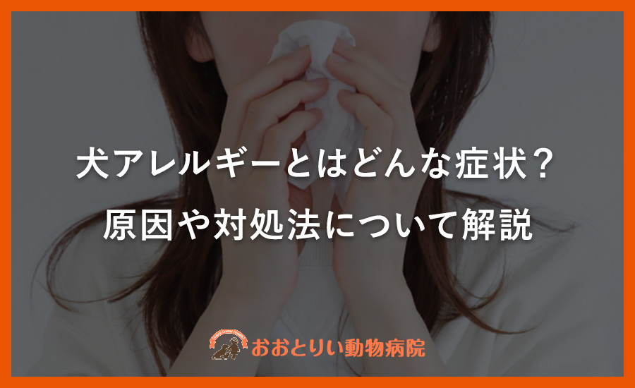 犬アレルギーとはどんな症状?原因や対処法について解説