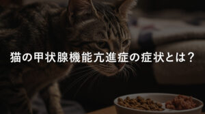 猫の甲状腺機能亢進症の症状とは？