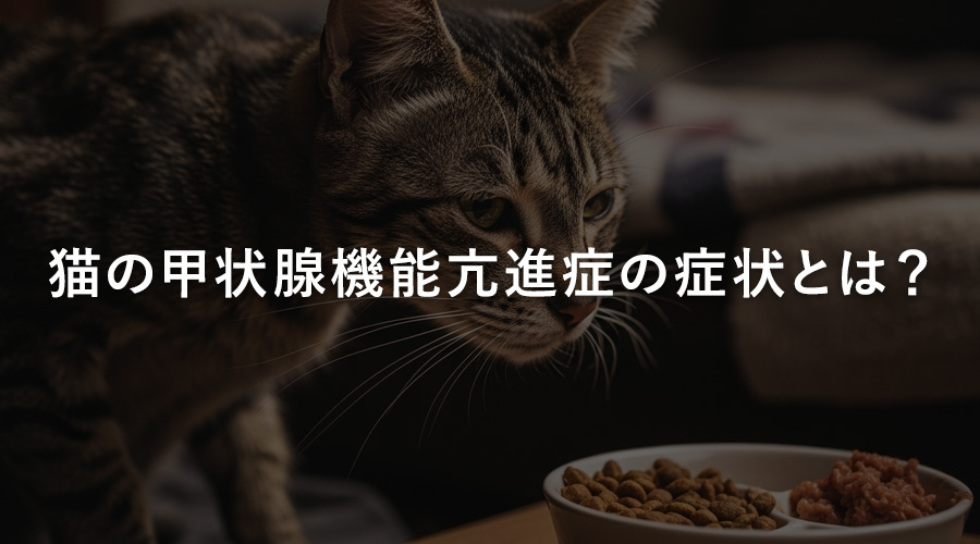 猫の甲状腺機能亢進症の症状とは?