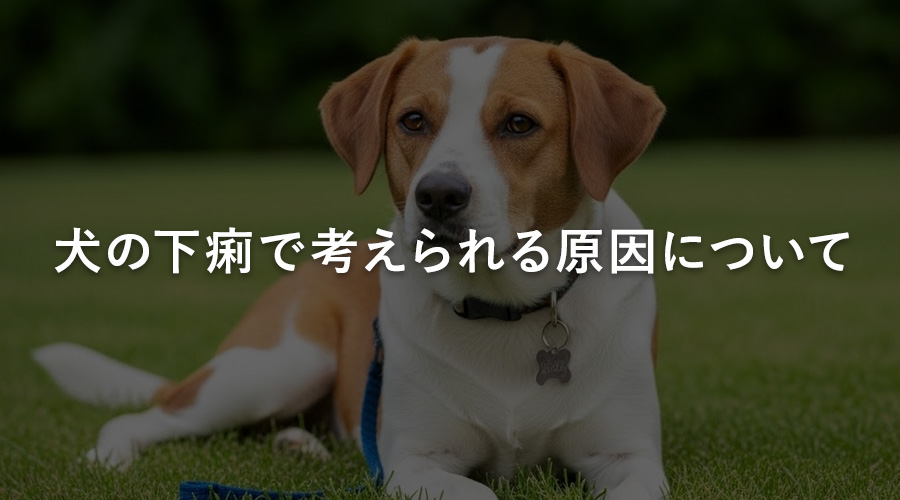 犬の下痢で考えられる原因について