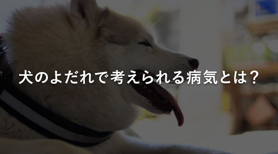 犬のよだれで考えられる病気とは?